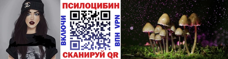 Галлюциногенные грибы MAGIC MUSHROOMS  продажа наркотиков  Куртамыш 