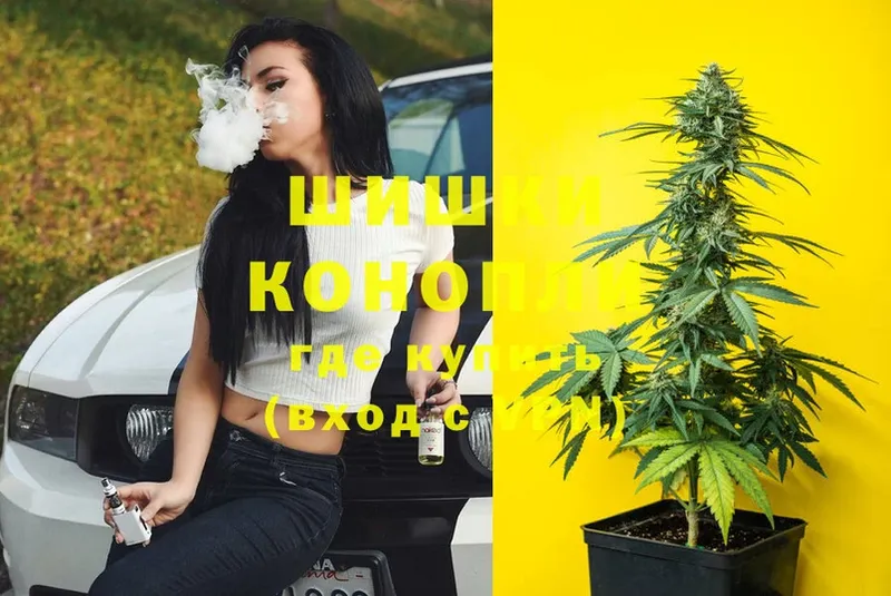 Бошки марихуана White Widow  купить  цена  Куртамыш 